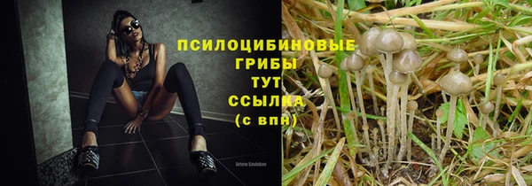 каннабис Алексин