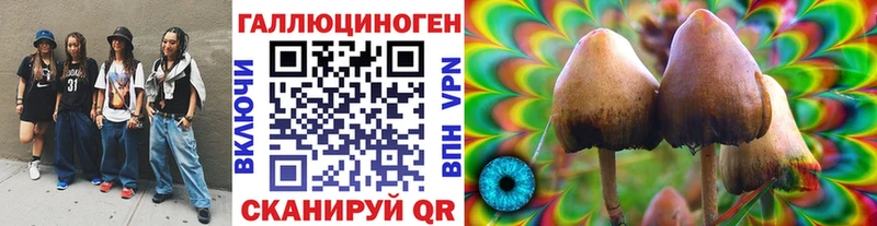 Псилоцибиновые грибы Psilocybe  закладки  Поронайск 
